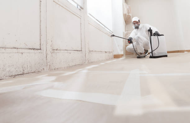 24/7 Emergency Mold Remediation experts in Medford, NJ